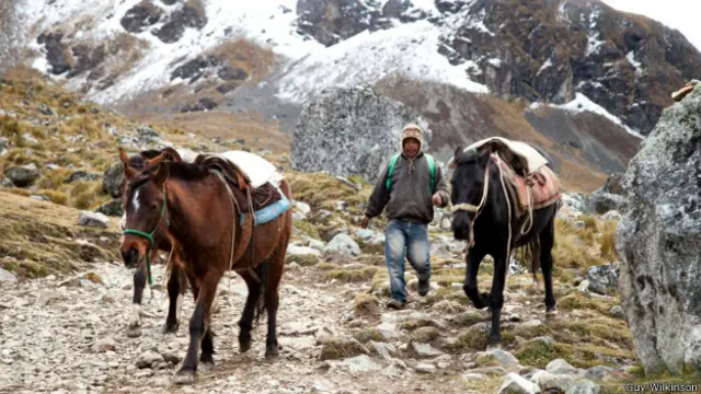 背后积雪覆盖的山脉格外醒目。