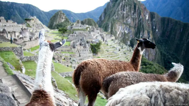 五天旅程亲历众多的生态系统