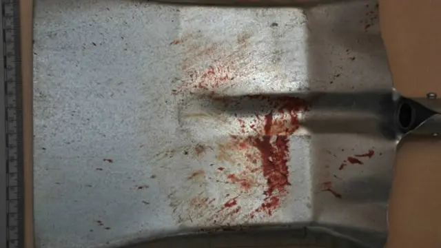 出于或许我们永远无法知道的原因，小A小B开始殴打怀特森。不但用拳脚，还用屋子里能够顺手抄起的东西。法庭上出示的沾有怀特森血迹的“凶器”包括：木棒、咖啡壶、花瓶、电视机、铁锹…