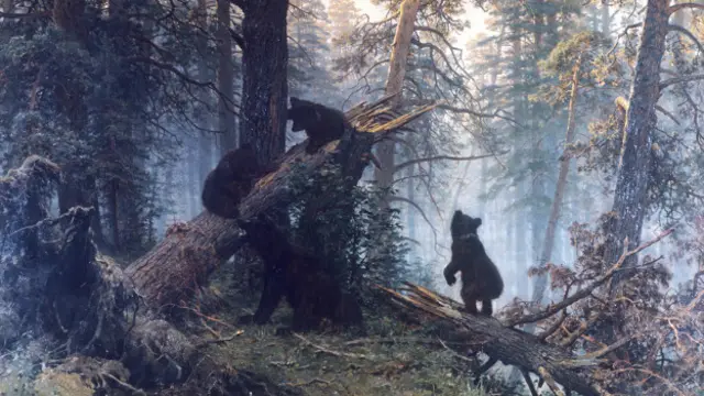 Утро в сосновом лесу