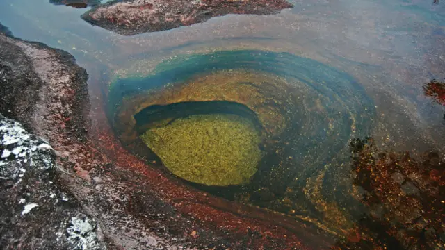 Caño Cristales