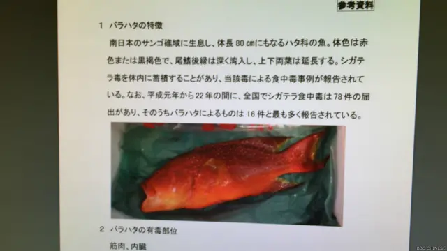 日本东京筑地鱼市场本周二卖出一条毒鱼“玫瑰红斑”（ Variola Louti）