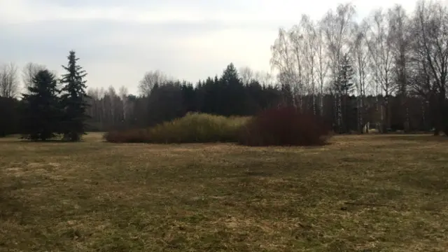 Пансионат "Поляны"