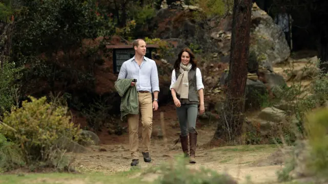 شاہی جوڑا تھمپو میں ٹائیگر ٹریک پر کافی دور نکل گئے۔