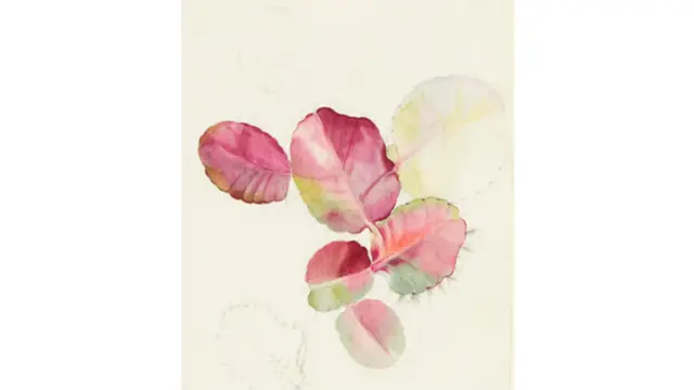 Bocetos para la ilustración de la noche