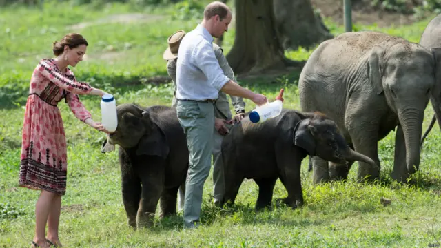 Герцог и герцогиня Кембриджские в национальном парке Индии Казиранга