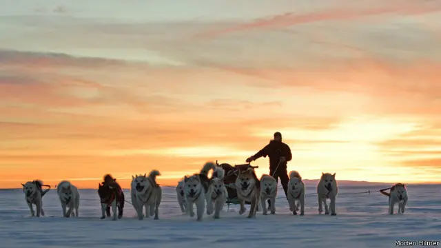 Patroli Kereta Luncur Siriys di Greenland.
