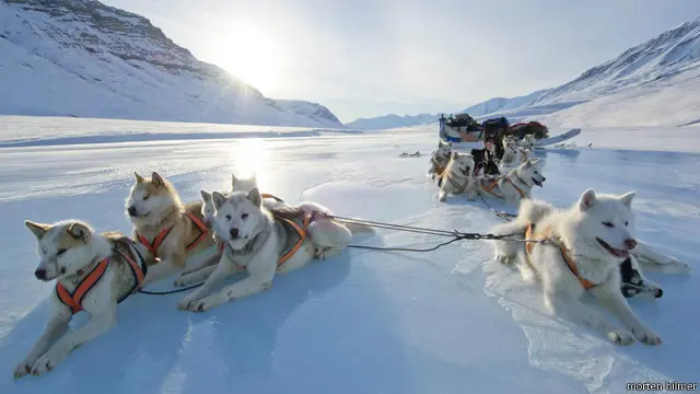 Patroli kereta luncur Sirius di Greenland.