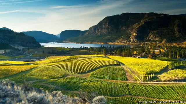 Taman-taman nasional di Kanada sering kali tidak seramai taman nasional di AS.