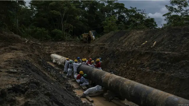 Limpiadores del derrame de petróleo