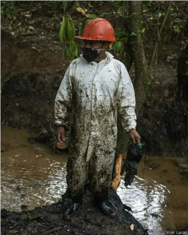 Limpiadores del derrame de petróleo