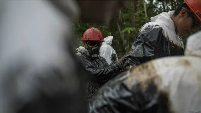 Limpiadores del derrame de petróleo