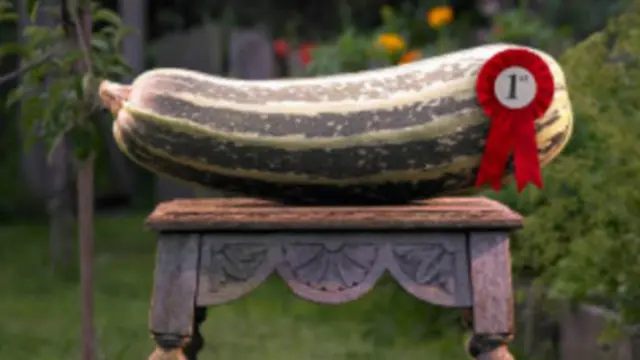 成功的关键是找到这三个问题的答案。(图片来源:Getty Images)