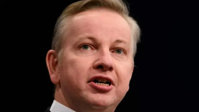 戈夫说英国留欧派把公众当小孩