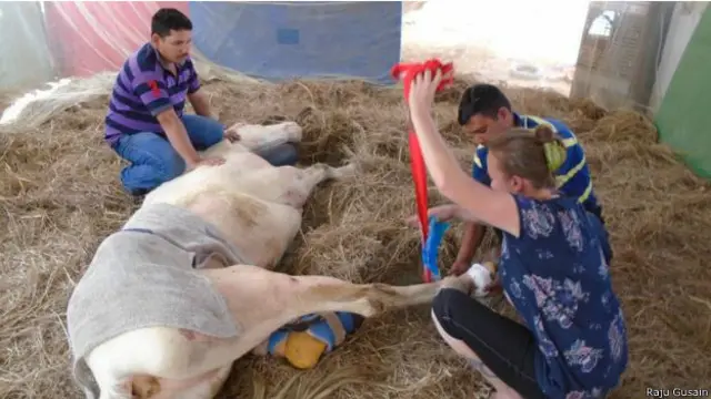 शक्तिमान