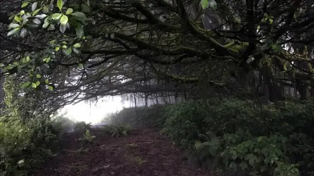 Остров Вознесения