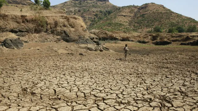 يوه تر ټولو ډېره زياينمنه شوې سيمه مهاراشتر ده