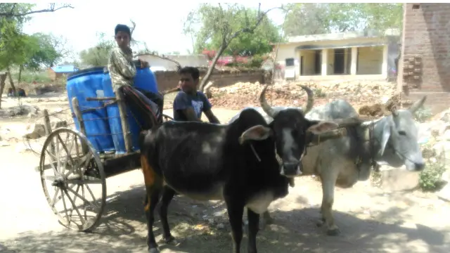 قحط کی یہ صورت حال ایک ایسے وقت میں سامنے آئی ہے جب بھارت کے بیشتر علاقوں میں شدید گرمی لہر چل رہی ہے اور درجہ حرارت اپریل کے مہینے میں ہی 40 سینٹی گریڈ سے اوپر چل رہا ہے