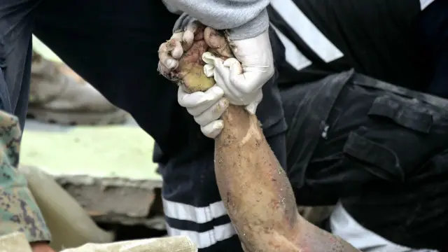 Gempa di Ekuador terjadi pada 16 April lalu dengan kekuatan 7,8 pada skala Richter.