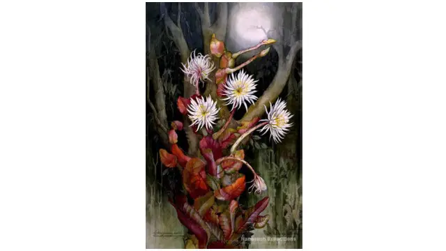 Mítica flor de la luna