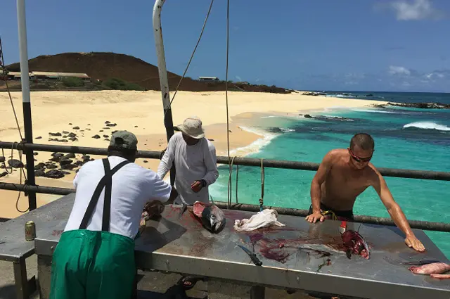 Una cosa es que vivan en la isla, otra es que sean 'de la isla de Ascensión', que al parecer sería su gentilicio, si lo pudieran usar.