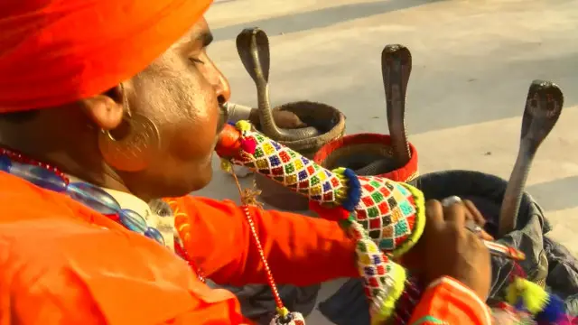 انڈیا میں بہت سے لوگ سانپ کو پوجتے ہیں