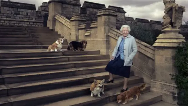 Kraliçe çok sevdiği köpekleriyle.