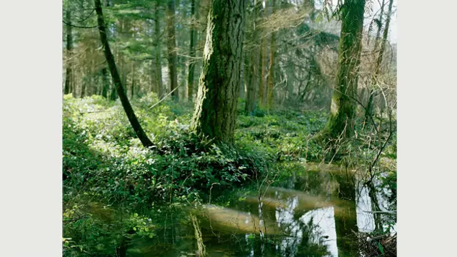 Выставка фотографа Стивена Челмерса 