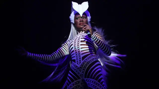 Jones mengenakan kostum zebra saat konser di New York, 2009 lalu.