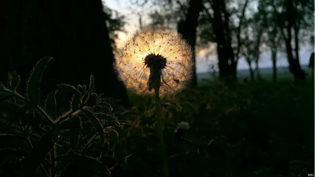 Текст Оксаны Вождаевой. Все фотографии Максима Ломакина. 