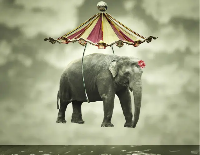 ¡Bienvenido al país de las maravillas!