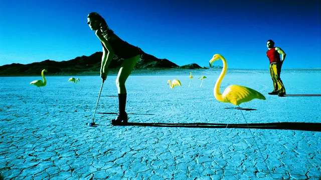 ¡Acuérdate de despertarte y quedarte dormido inmediatamente después!