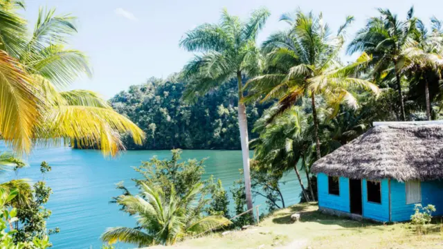 Vẻ đẹp hé lộ từ rừng rậm. Vịnh Taco bình yên, chằng chịt các cây đước, cọ, dương xỉ, các cây họ dứa và dứa, cây cacao, là cửa ngõ vào vườn quốc gia. Cư dân nổi tiếng nhất ở đây là loài lợn biển Tây Ấn Độ, chúng thường tới vịnh vào các tháng hè.