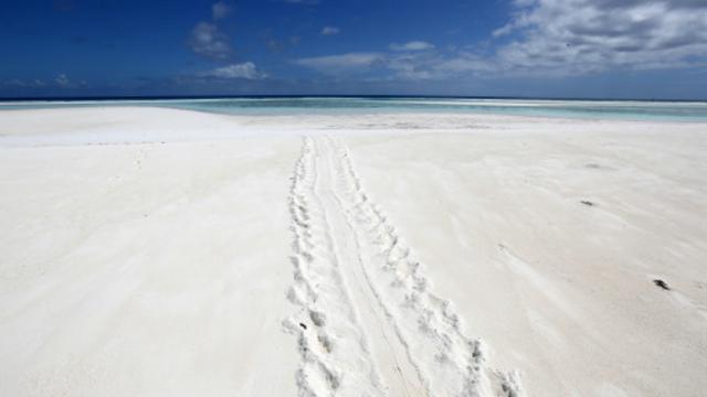 莫桑比克美丽的白色沙滩