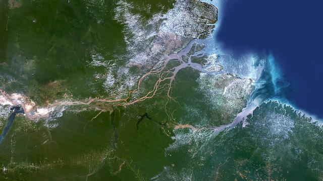 Imagen satelital del delta del río Amazonas