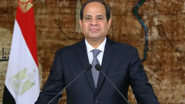 عبدالفتاح السیسی نے ٹی پر اپنے خطاب میں حکومت کے دفاع کی اپیل کی ہے