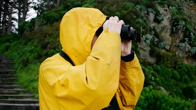 Наблюдатель в желтом плаще
