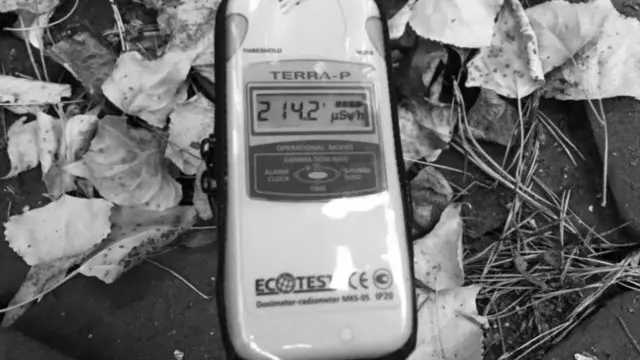 Чернобыльская зона