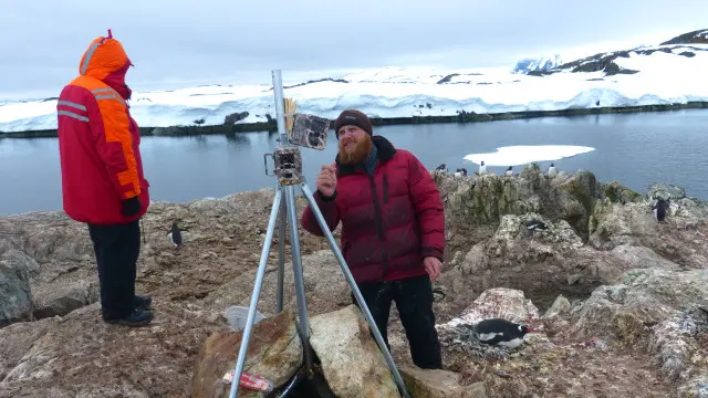 Дослідження