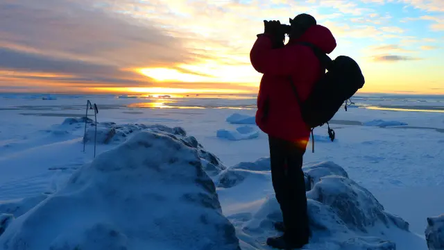 Антарктика