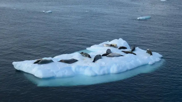 Станція Вернадський