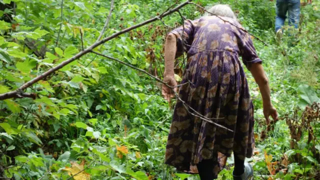 “回归者”Rosaliju