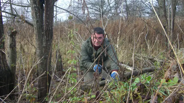 Пьер пилит бревна