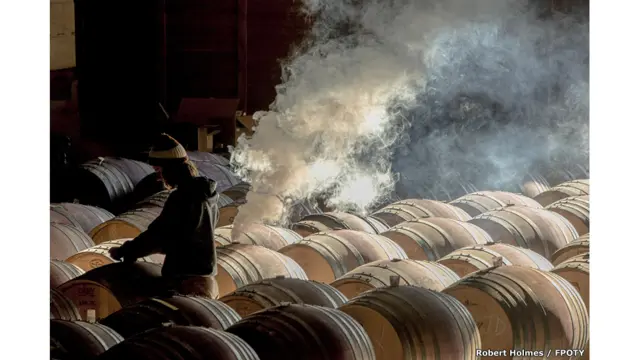 Mayasara Winery - by Robert Holmes (USA) / FPOTY