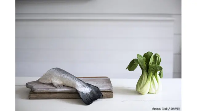 Salmon still life - by Susan Bell (UK) / FPOTY