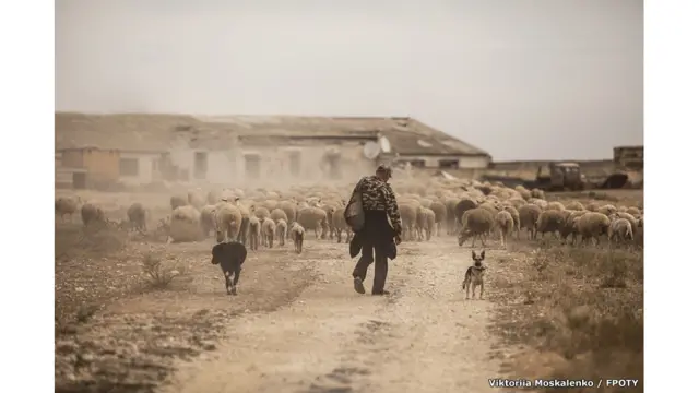 Go home - by Viktoriia Moskalenko (Ukraine) / FPOTY