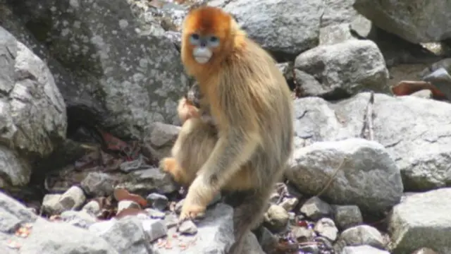 Mai jego jim kadan bayan ta haihu