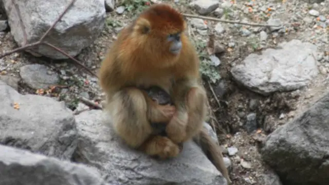 A sa'ar farko da haihuwarta ba wanda ta yarda ya dauki jaririn