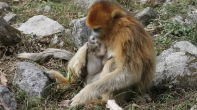 Kwana shida bayan haihuwa uwa da jaririnta na cikin koshin lafiya