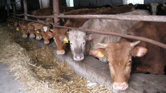 Белоруссия